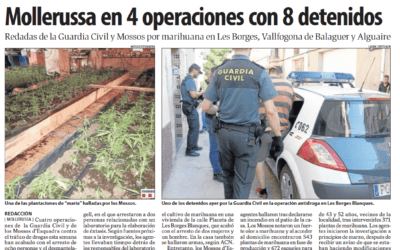 Prats Advocats evita el ingreso en prisión de un cliente arrestado por los Mossos como responsable de una plantación de marihuana