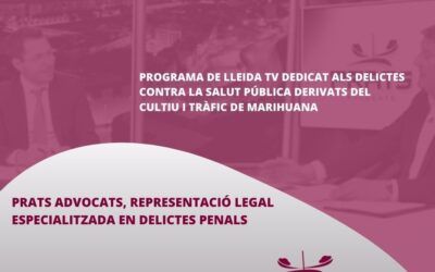 Delictes contra la salut pública derivats del cultiu i tràfic de marihuana