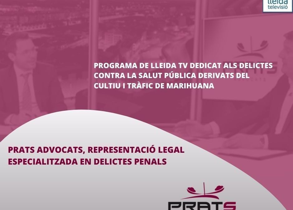 Delictes contra la salut pública derivats del cultiu i tràfic de marihuana