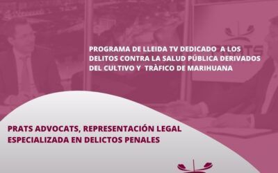 Delitos contra la salud pública derivados del cultivo y tráfico de marihuna