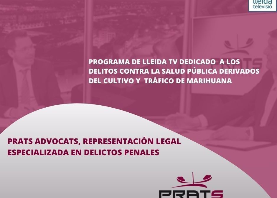 Delitos contra la salud pública derivados del cultivo y tráfico de marihuna